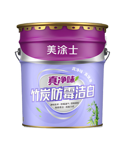 真凈味竹炭防霉?jié)嵃讐γ嫫?>
						</div>
						<div   id=
